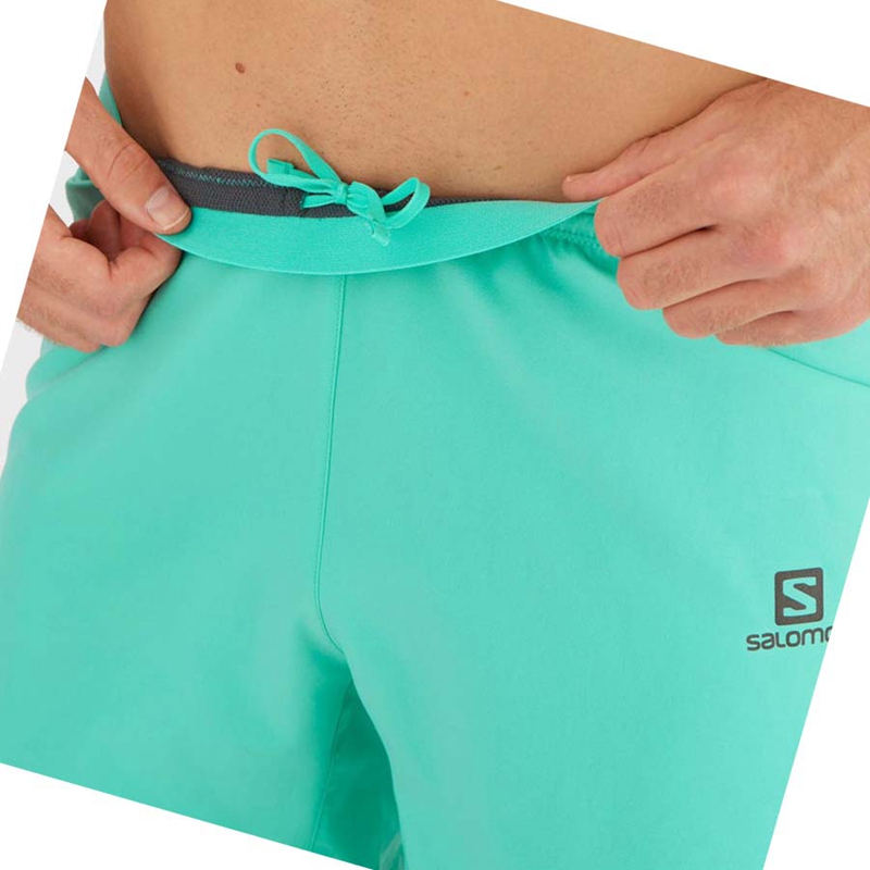 Salomon CROSS 5'' Miesten Shortsit Minttu | LSDVJQR-39