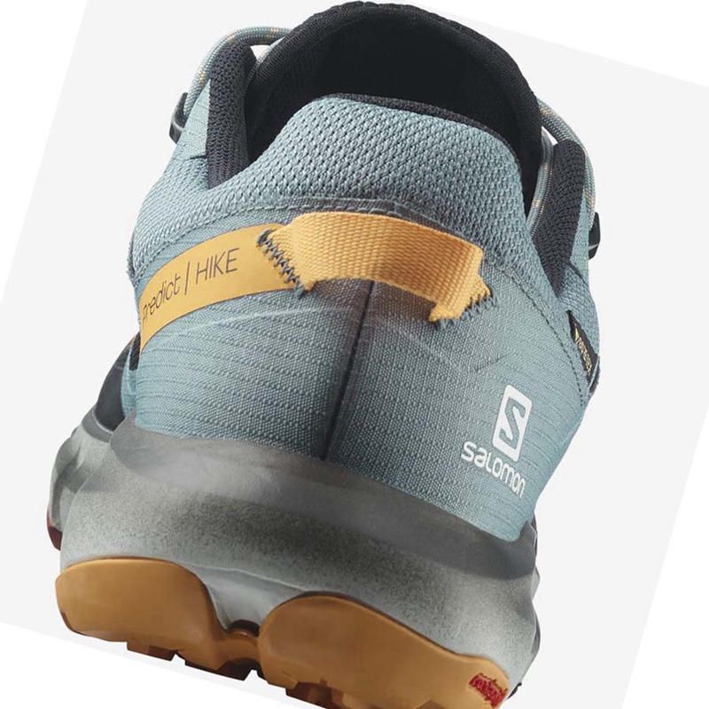 Salomon PREDICT HIKE GORE-TEX Miesten Vaelluskengät Mustat Oranssi | FKQMGJZ-48