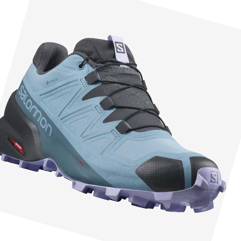 Salomon SPEEDCROSS 5 GORE-TEX Naisten Maastojuoksukengät Ruskea | FIDSNUO-32