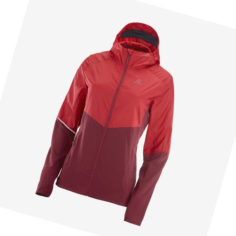 Salomon AGILE WIND WINDBREAKERS Naisten Takki Punainen | CRDEJAN-93