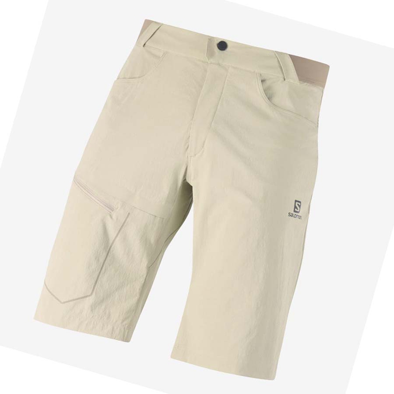 Salomon WAYFARER Miesten Shortsit Beige | UYGSXNO-87